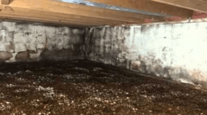 Worried About Crawl Space Moisture Levels? Let's Find Solutions!